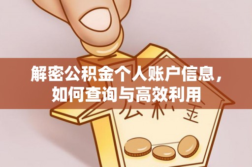 灞桥解密公积金个人账户信息，如何查询与高效利用