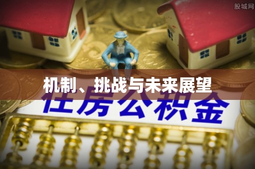 灞桥机制、挑战与未来展望